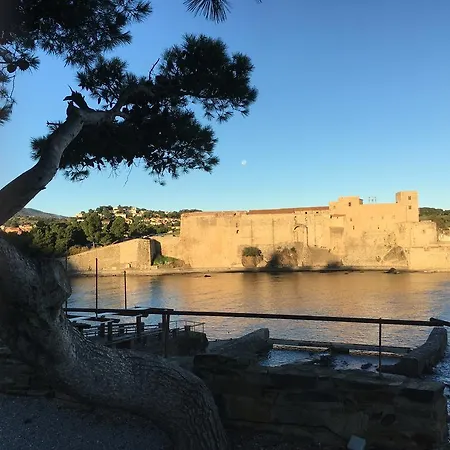 Un Balcon Sur La Mer Port Vendres Exterior photo